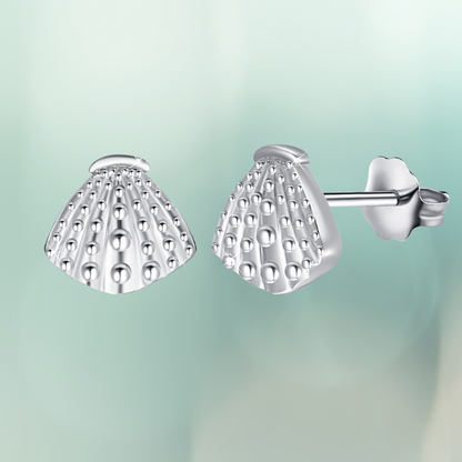 Seashell Studs Earrings